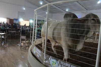 LeilÃ£o da Sociedade Rural de Laranjeiras do Sul movimentou mais de um milhÃ£o em negÃ³cios 